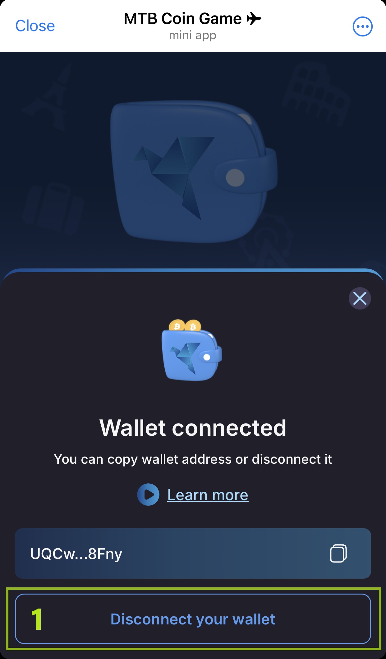 Connected Wallet Info
